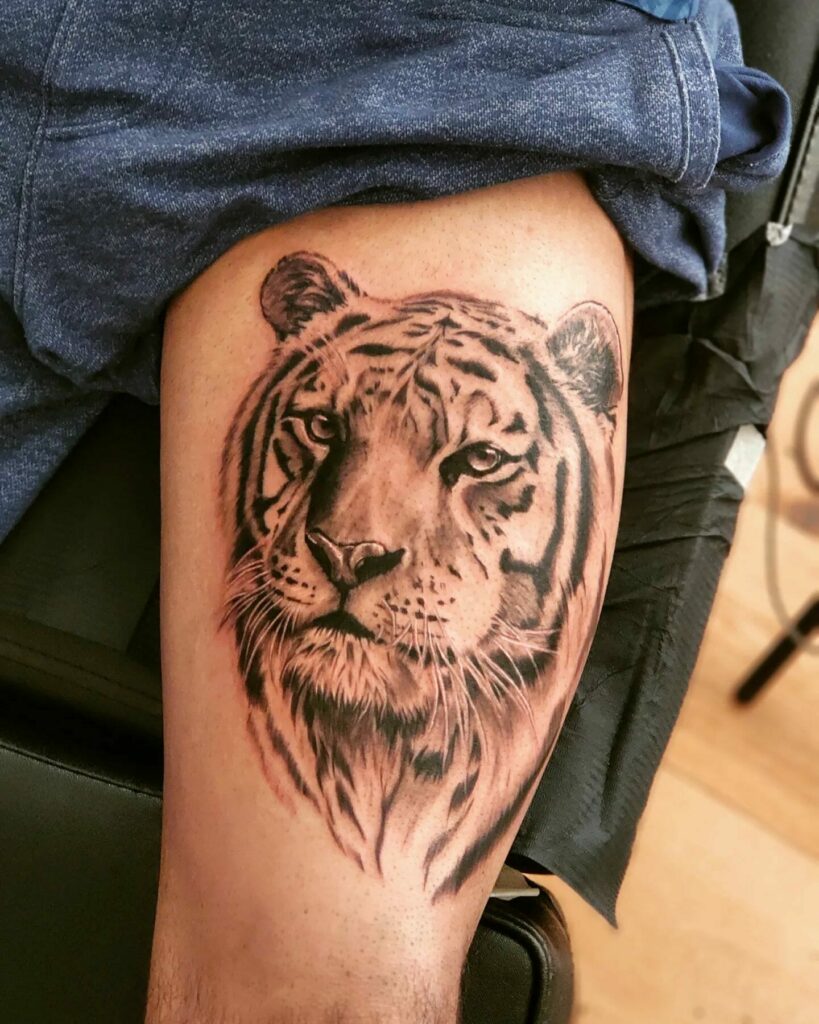 Tiger Face Tattoo Best Tattoo Ideas Gallery