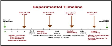 Timeline For Experimental Protocol Download Scientific Diagram