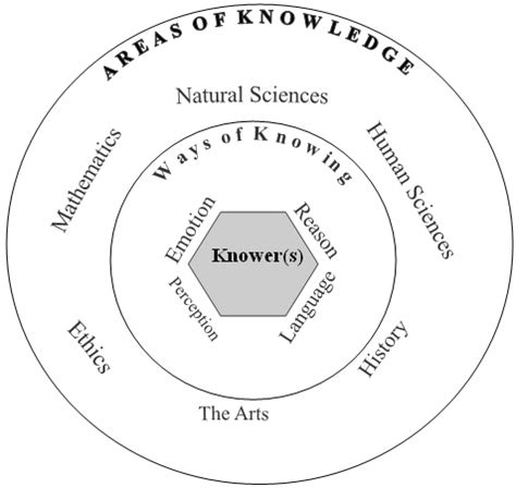 Tok Experience Lesson On Perception