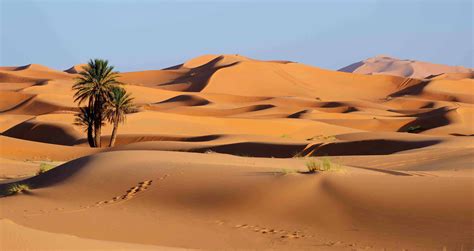 Top 10 Fascinating Facts About Sahara Desert