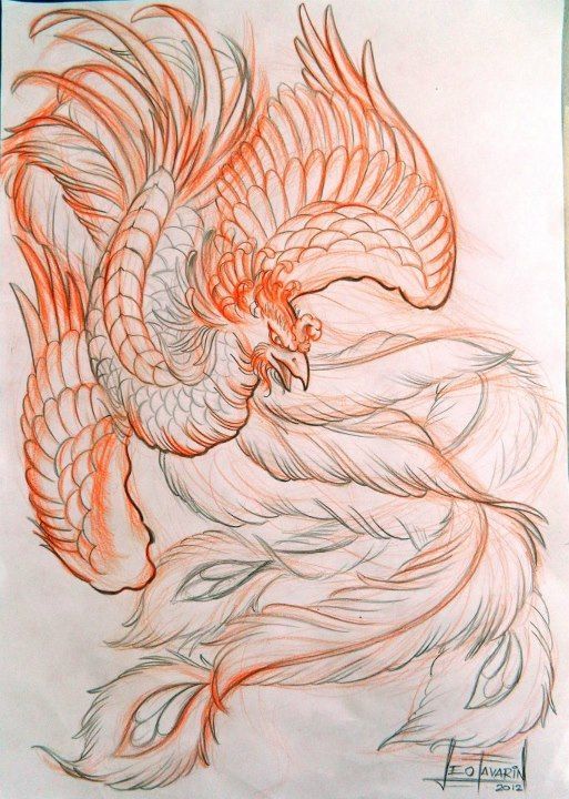 Traditional Japanese Phoenix Pheonix Tattoo Japanese Phoenix