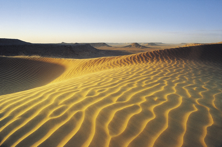 Types Of Desert Soil Sciencing