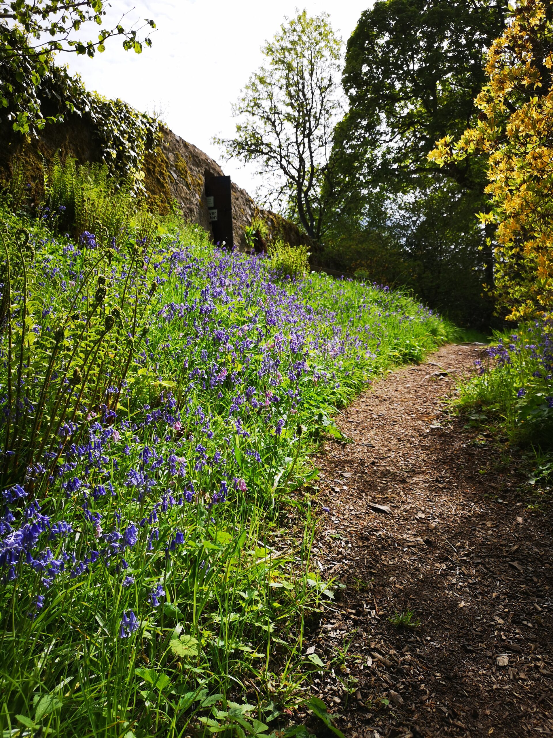 Uhi Students Help Uncover Historic Pathways At Cawdor Castle