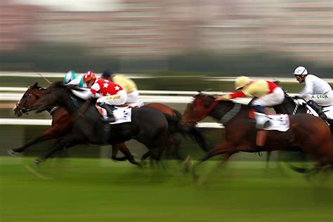 Uk Horse Racing Called Off After Outbreak Of Equine Flu Radio Newshub