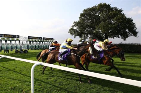 Uk Racing Tips Tuesday 27 June 2023 Hollywoodbets Uk Sports Blog