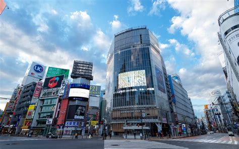 Ultimate Shibuya Ward Guide Best Things To Do History Areas And