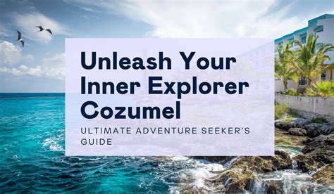 Unleash Your Inner Explorer Cozumel S Ultimate Adventure Seeker S