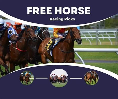 Unlock Winning Streaks With Our Best Bets In Horse Racing