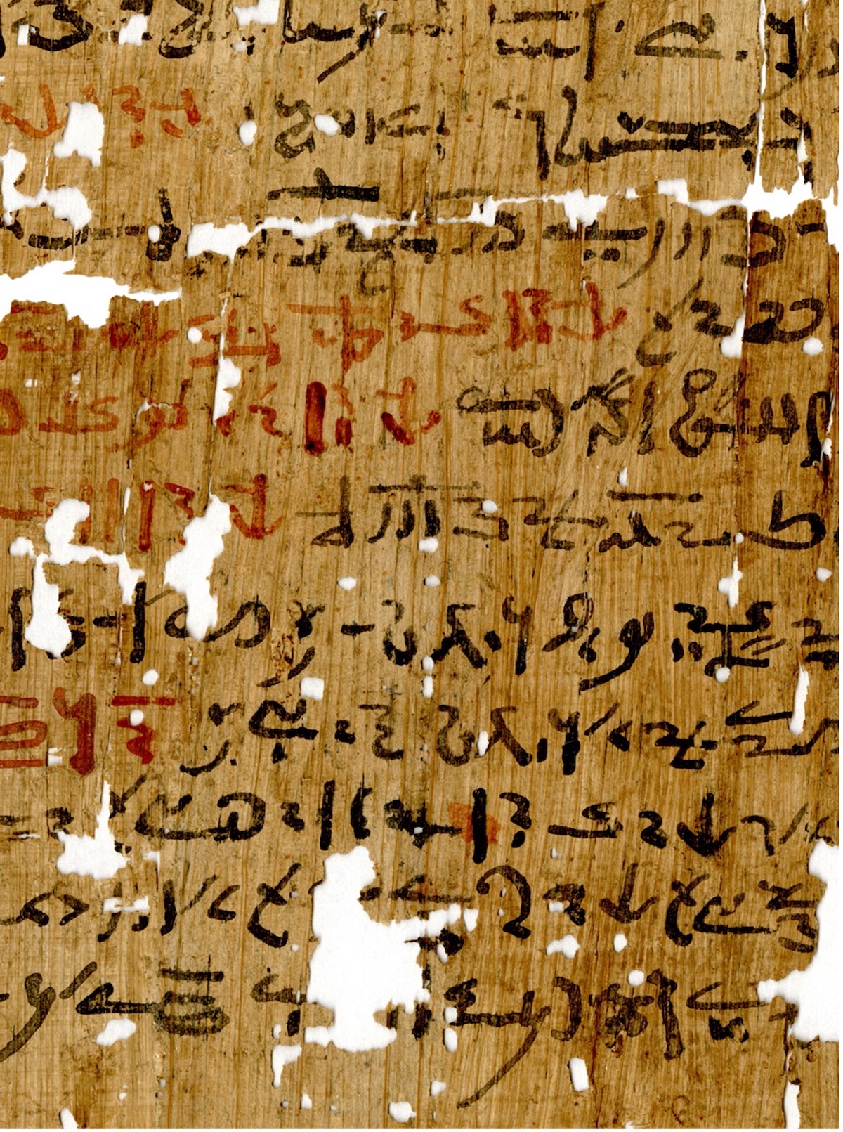 Unveiling The Secrets Of Ancient Egyptian Ink Thesciencebreaker