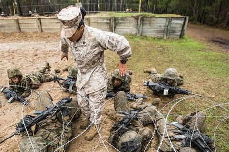 Usmc Basic Training