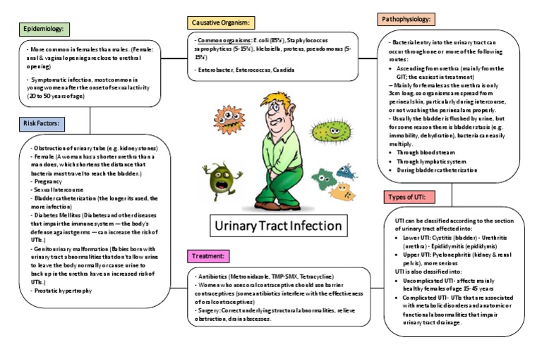 Uti Concept Map School Notes Nusctx 160 Studocu