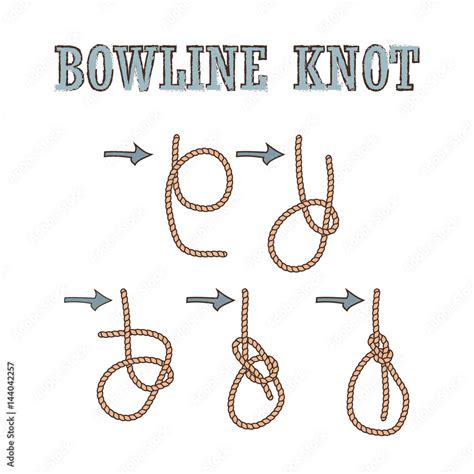 Vector Simple Instructions Tying Bowline Knot Stock Vector, 42% Off