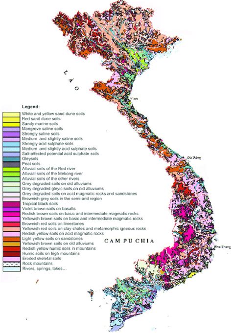 Vietnam Type Of Land