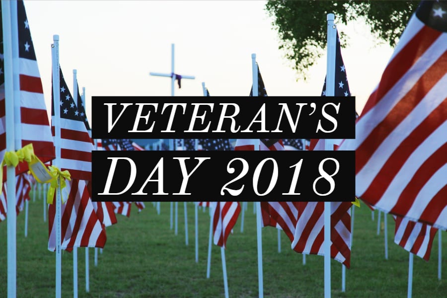 Ways To Celebrate Veteran S Day 2018 Dig It Games