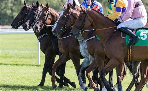 What Are The Different Types Of Racehorse Ownership