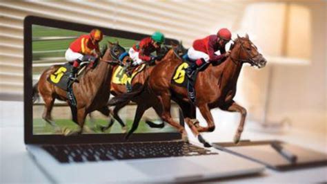 Why Are Horse Racing Bets Easier To Win Horseracingqa Com