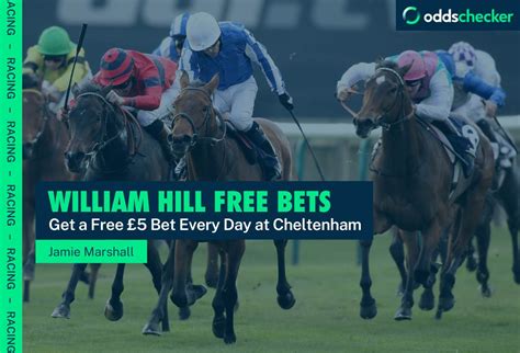 William Hill Cheltenham Free Bet Get A 5 Free Bet Every Day At The