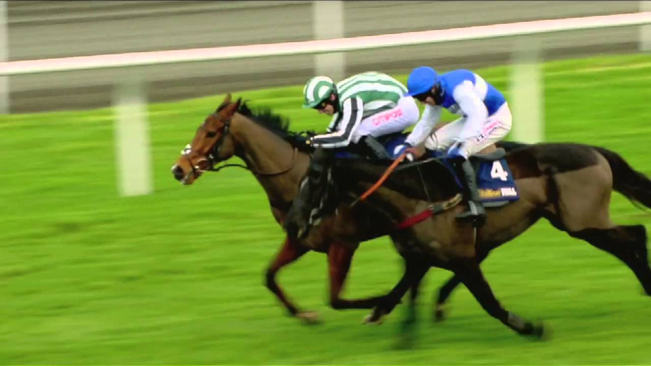 William Hill Winter Festival Racing Tv Youtube