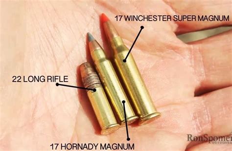 Winchester Introduces The 21 Sharp Rimfire Cartridge Page 2 Ar15 Com