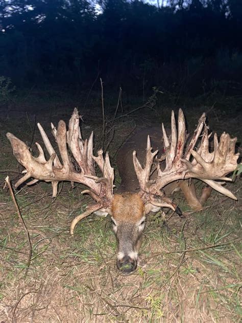 World Record Buck